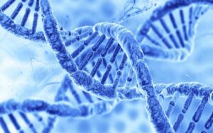 Lees meer over het artikel DNA