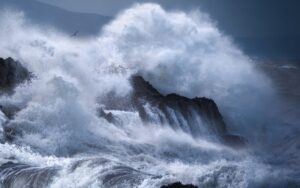 Lees meer over het artikel Catastrofale gebeurtenis