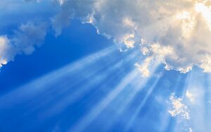 Lees meer over het artikel Gods Koninkrijk