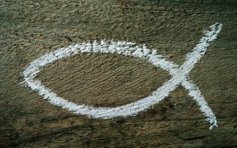Lees meer over het artikel Ichthus